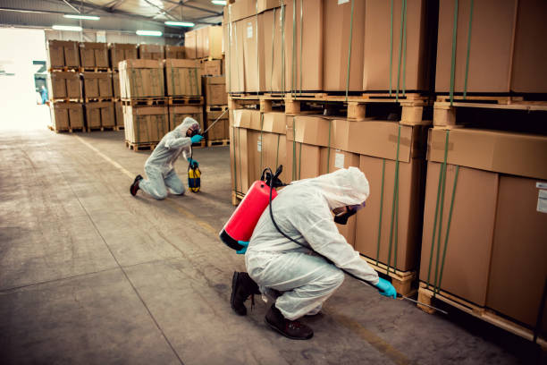 Best Wasp Removal Services  in Dudley, NC