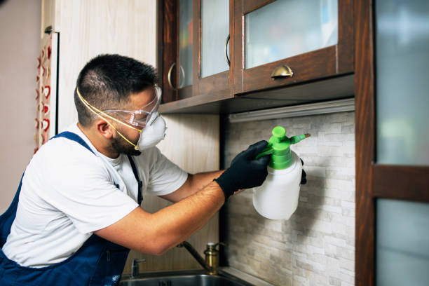 Best Pest Removal Services  in Dudley, NC