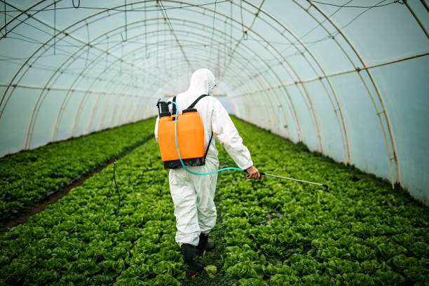 Best Affordable Pest Control Services  in Dudley, NC