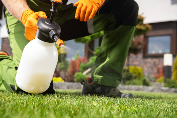 Best Local Pest Control Services  in Dudley, NC