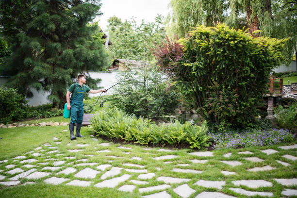 Best Pest Removal Services  in Dudley, NC