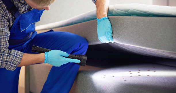 Best Pest Control Near Me in Dudley, NC