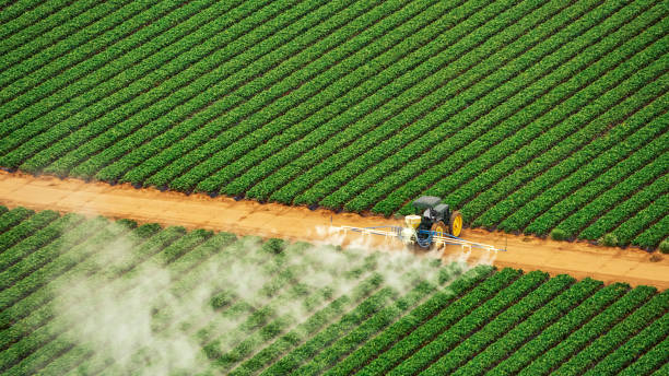 Best Pest Removal Services  in Dudley, NC