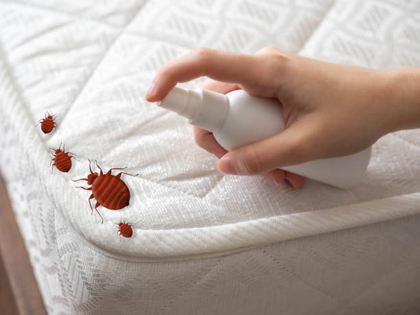Best Mosquito Control Services  in Dudley, NC
