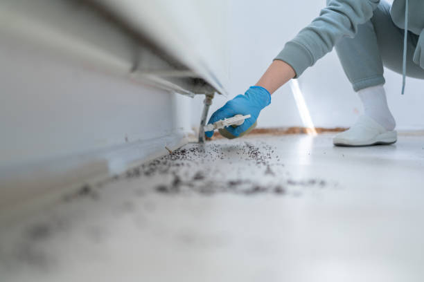 Best Commercial Pest Control Services  in Dudley, NC