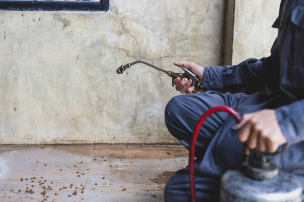 Best Affordable Pest Control Services  in Dudley, NC